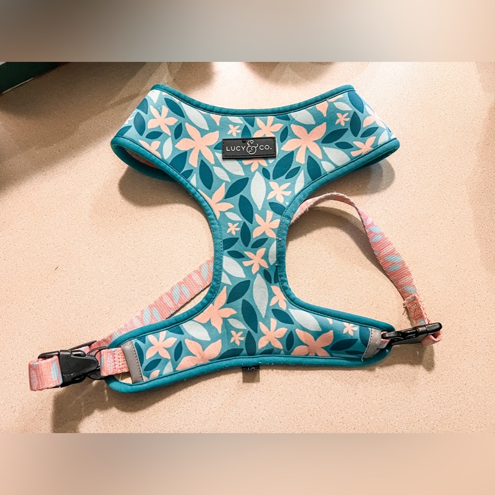 🌸 Lucy & Co reversible dog harness 🌸